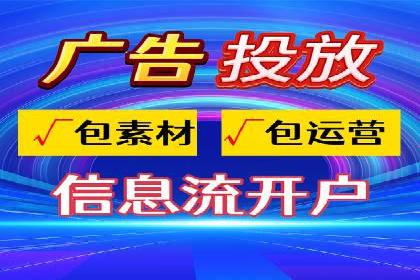 谷歌SEM案例研究：数据分析与效果评估